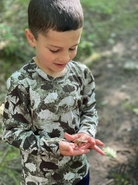Visit Fort Nature in North Smithfield, Rhode Island for a fun easy hike with the kids and many frogs and toads