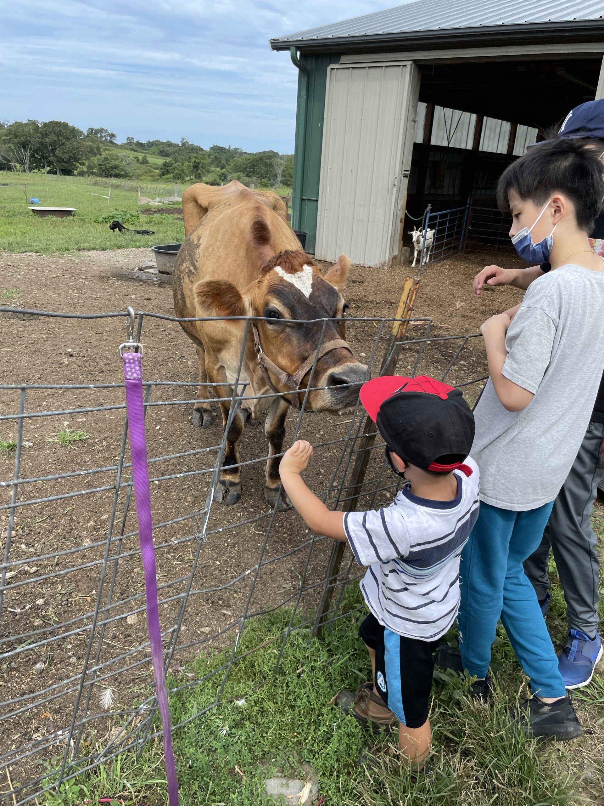 Simmons Farm with kids in Middletown, Rhode Island with kids