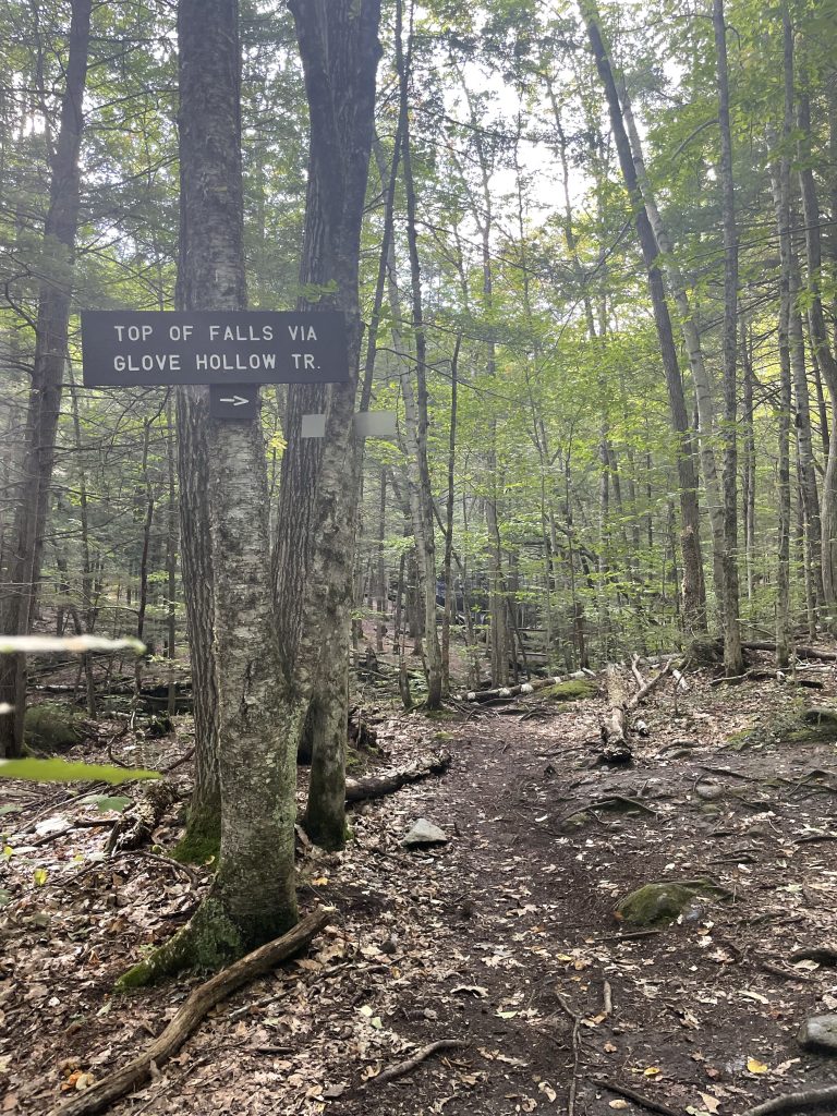 Walter Newton Natural Area in Plymouth, New Hampshire with kids