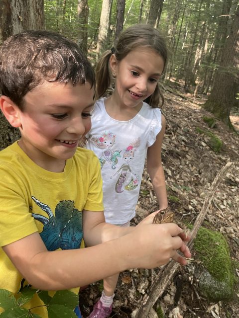Walter Newton Natural Area in New Hampshire with kids