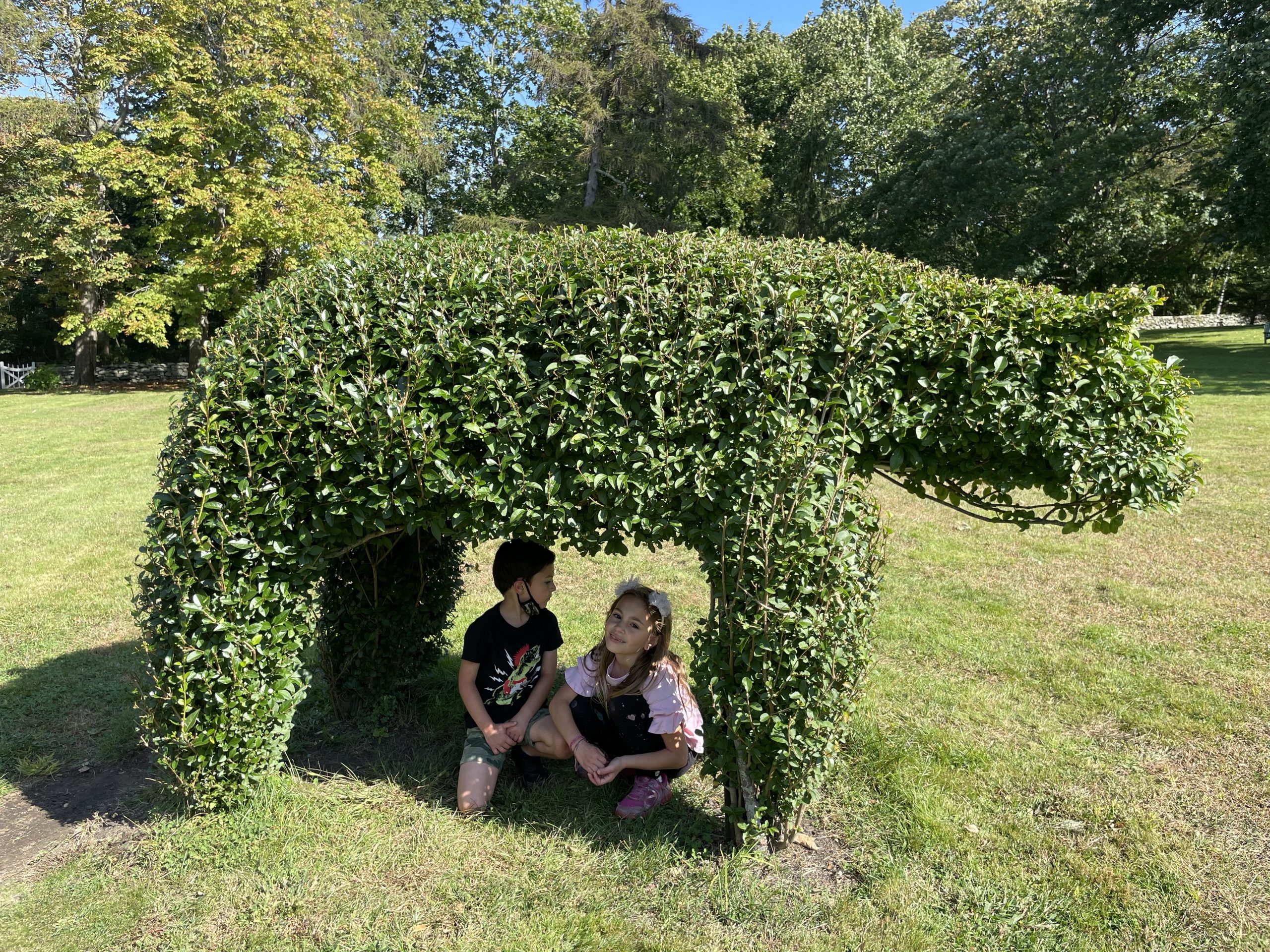 The Green Animals Topiary Gardens in Portsmouth, Rhode Island with kids 