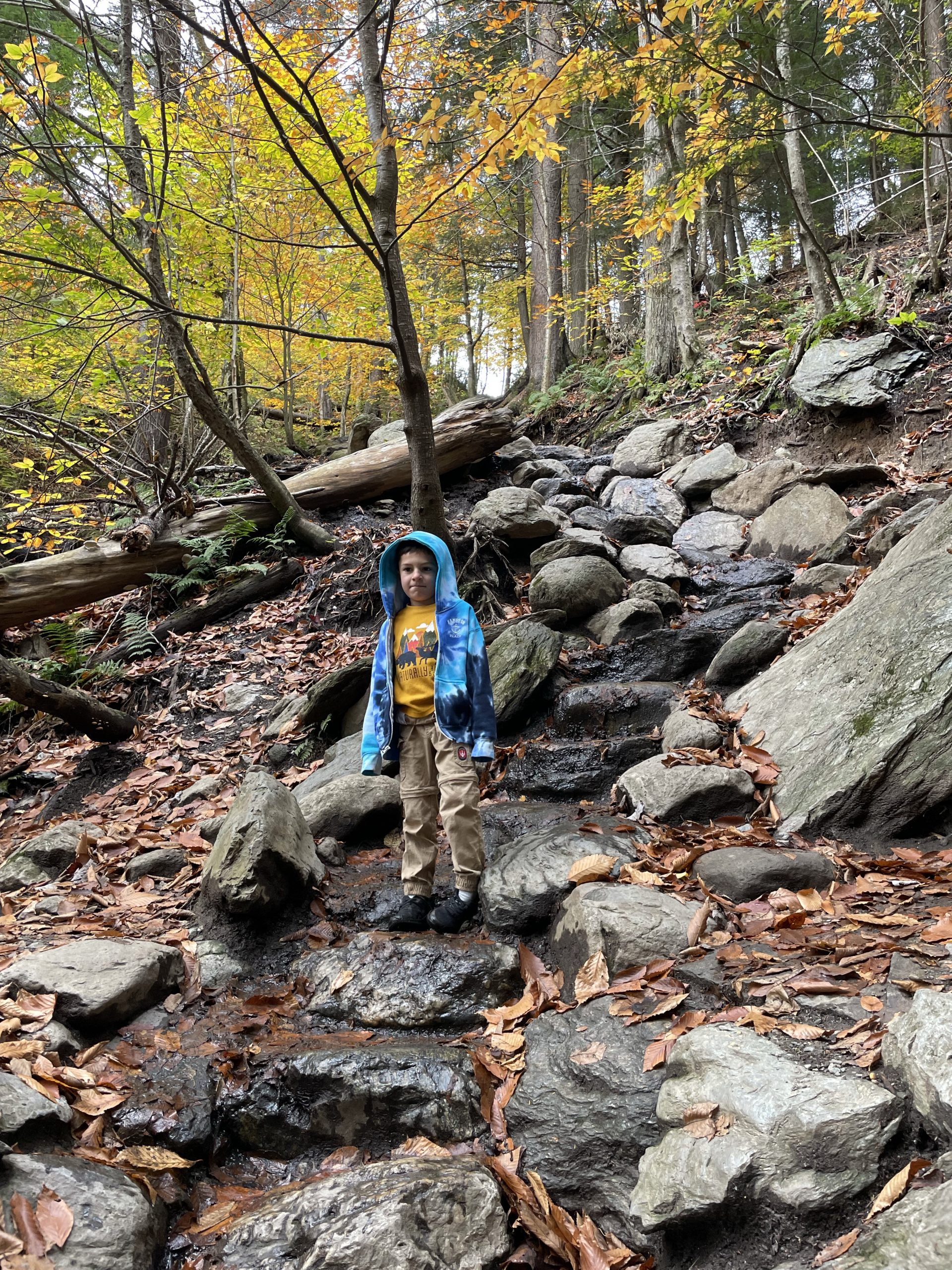 Bingham Falls in Mount Mansfield / Smuggler's Notch State Park with kids in Vermont