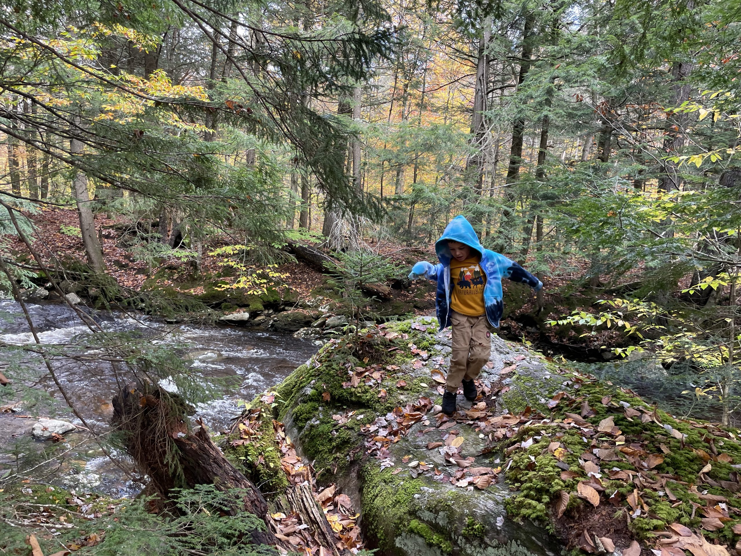 Bingham Falls in Mount Mansfield / Smuggler's Notch State Park with kids in Vermont
