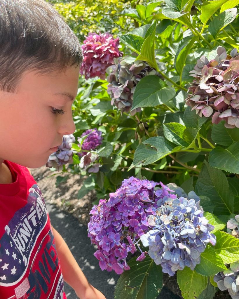 Heritage Museums and Gardens in Sandwich, Massachusetts with kids