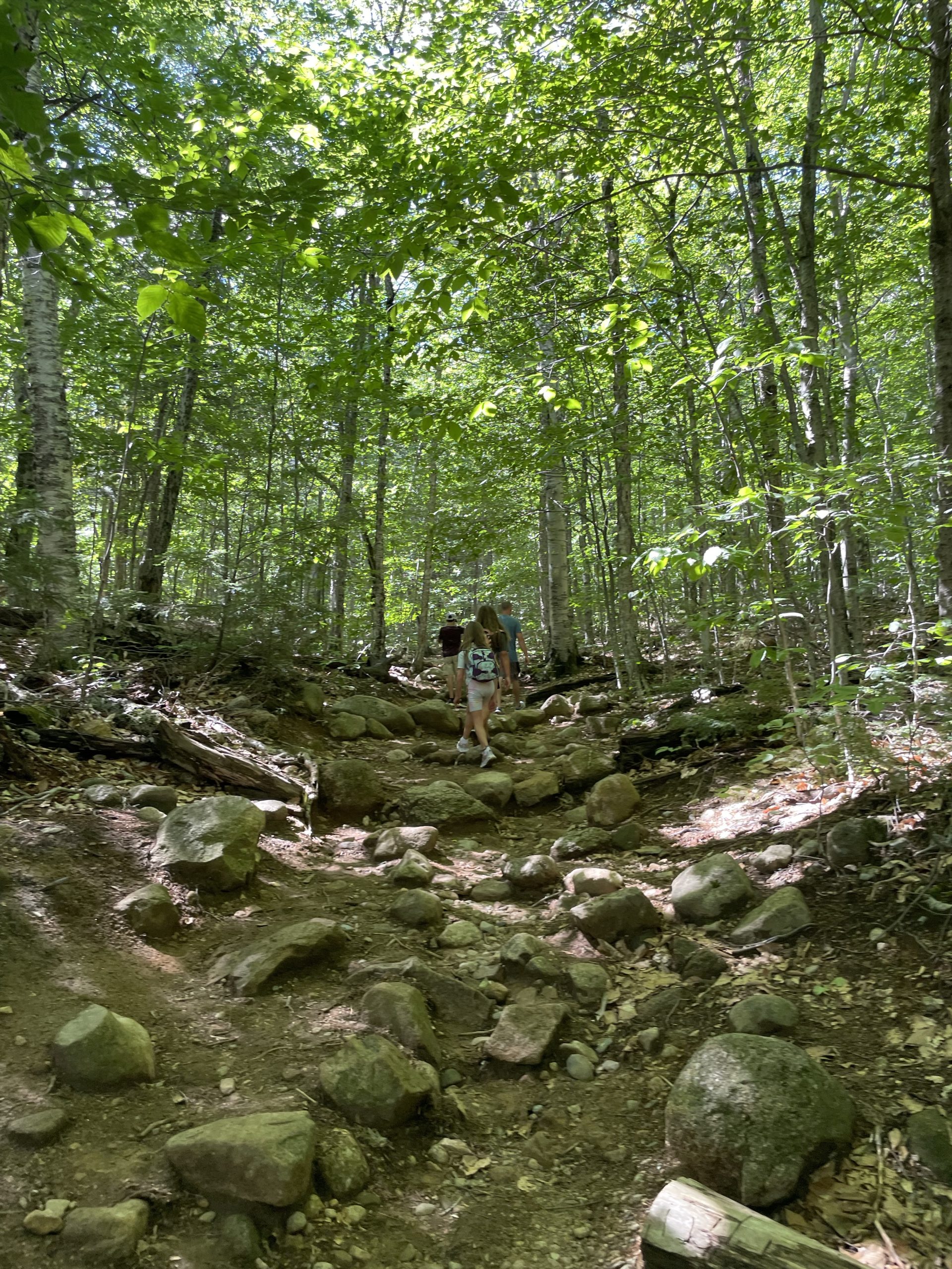 Arethusa Falls - Activities in New England for Young Kids