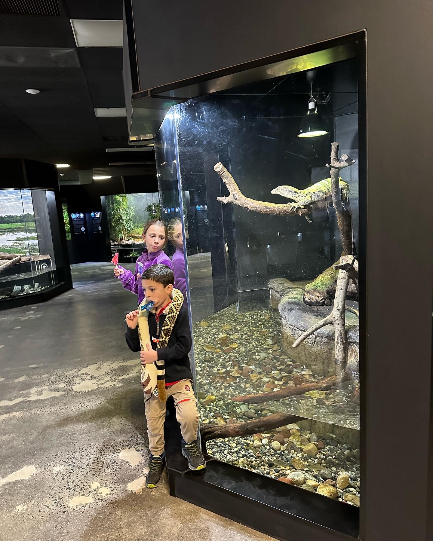 Riverside Reptiles in Connecticut with kids