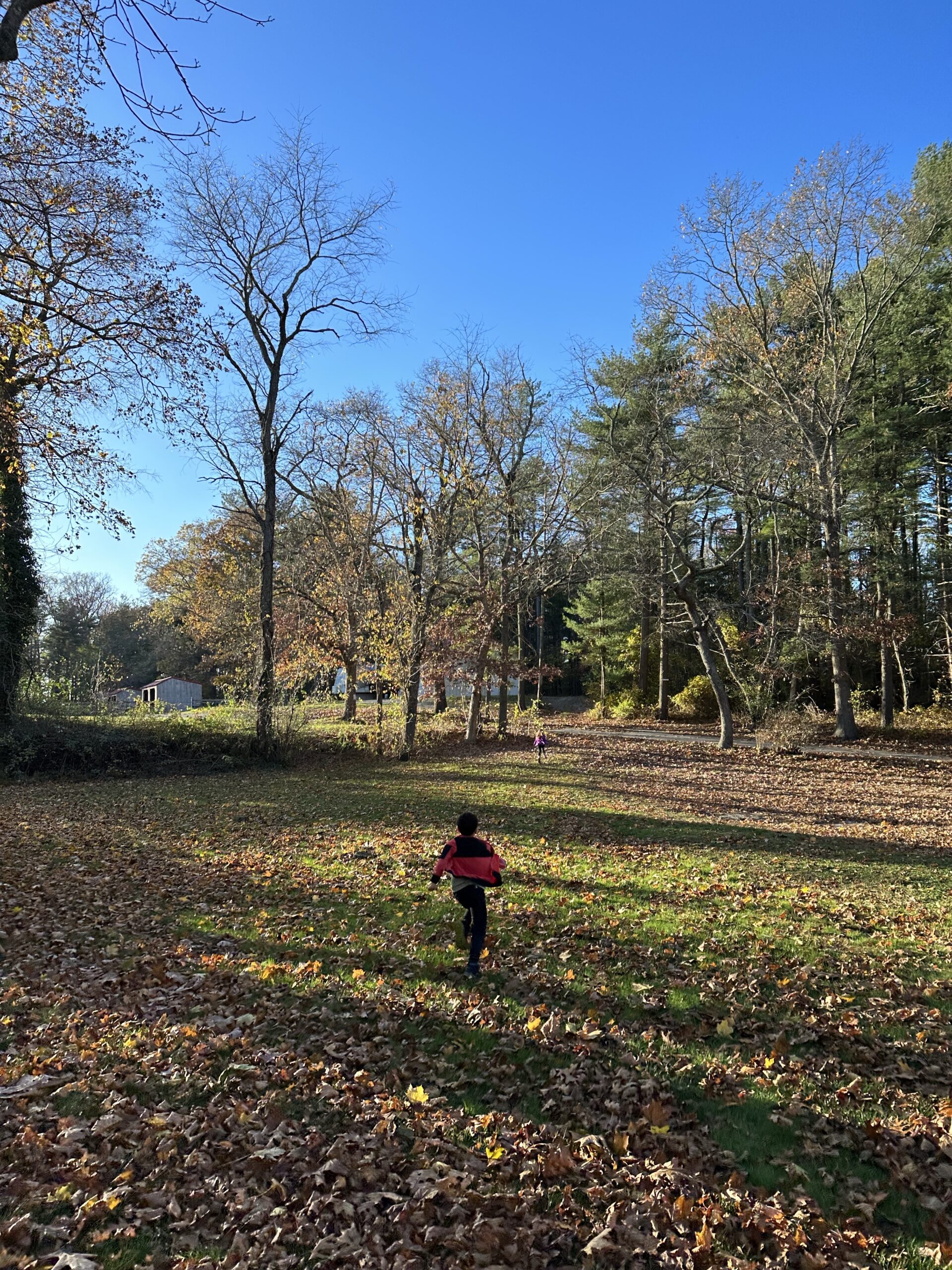 Goddard Park in Warwick, Rhode Island with kids