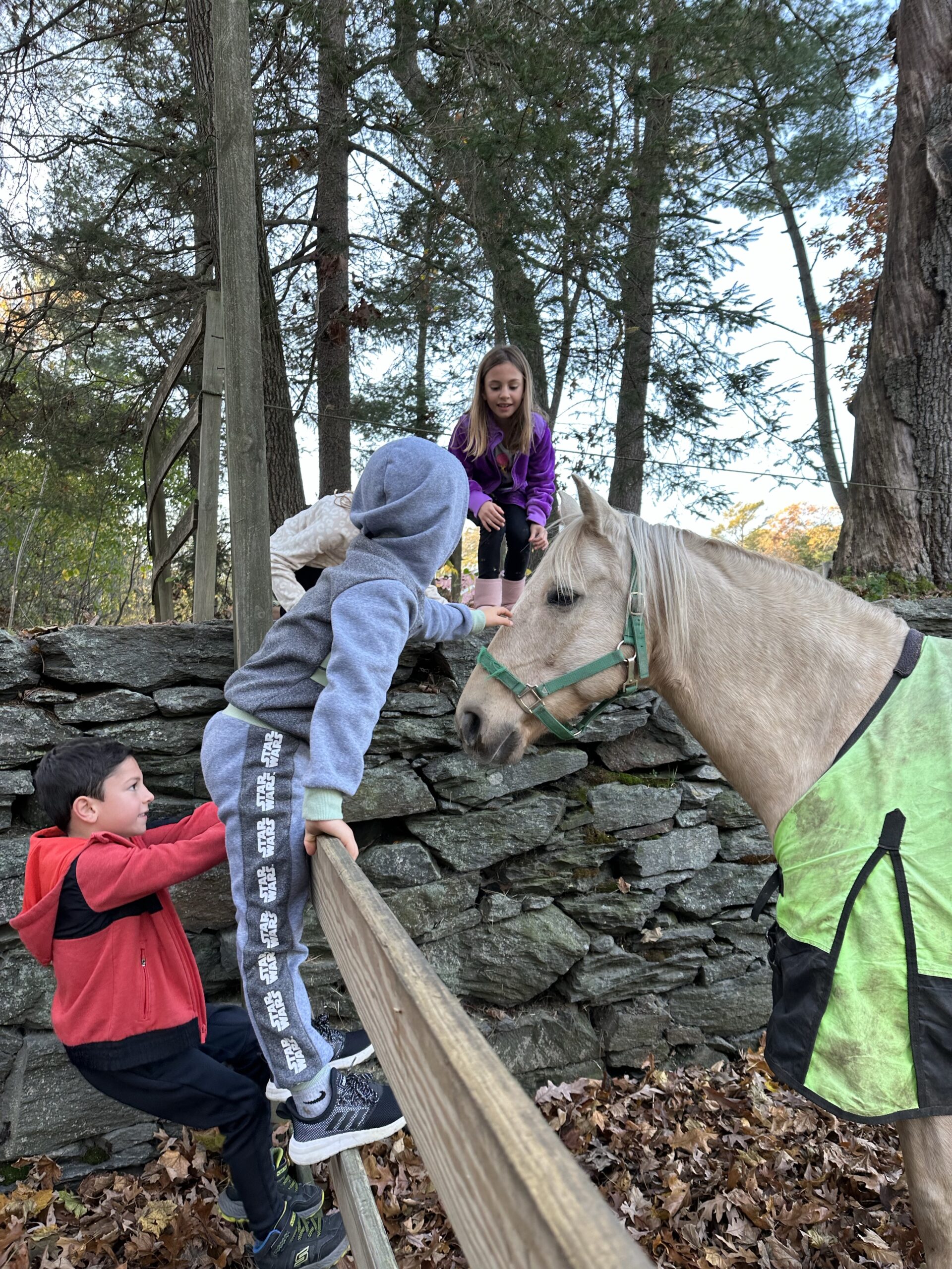 Goddard Park with kids in Warwick, Rhode Island