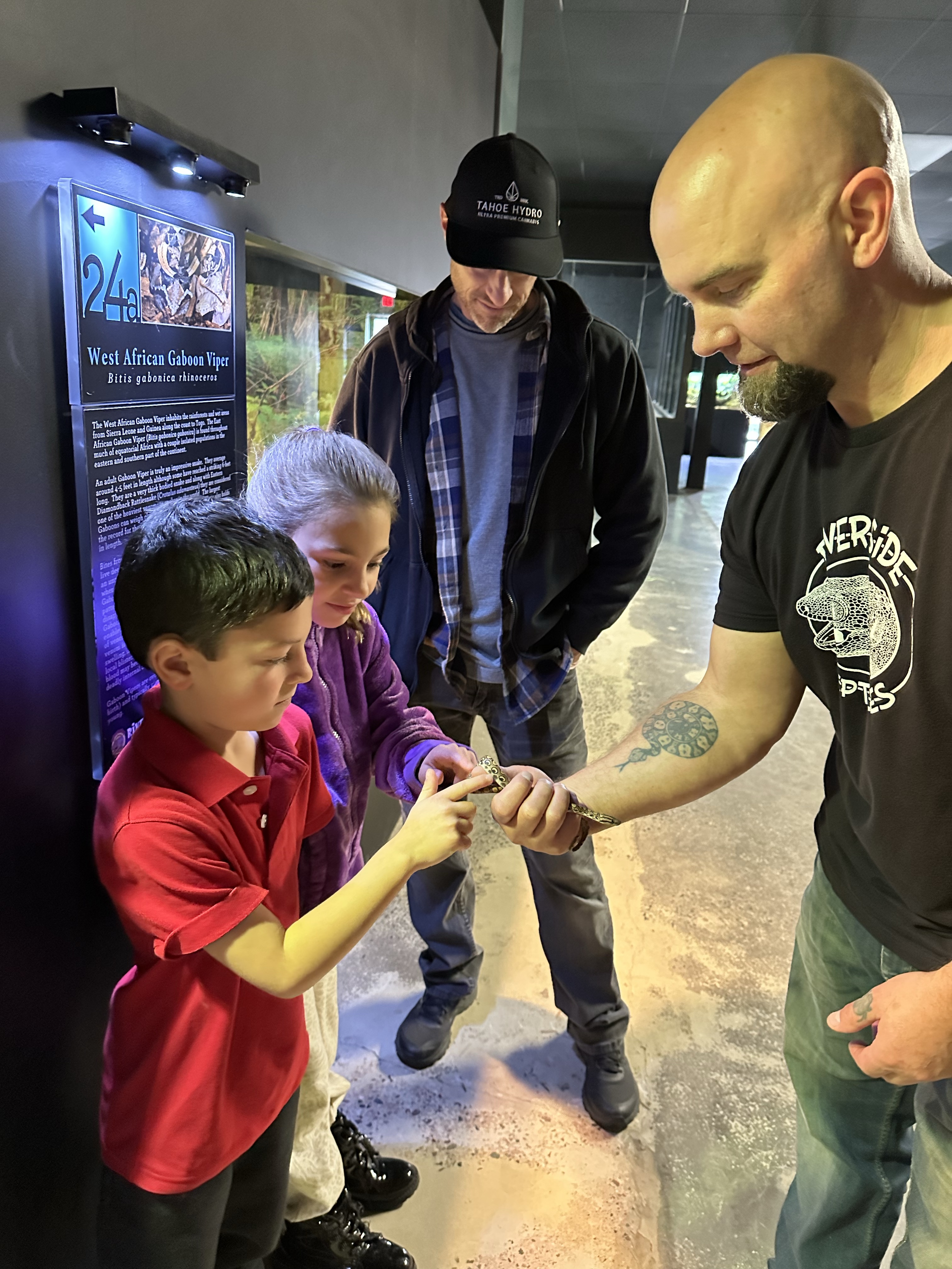 Riverside Reptiles in Connecticut with kids