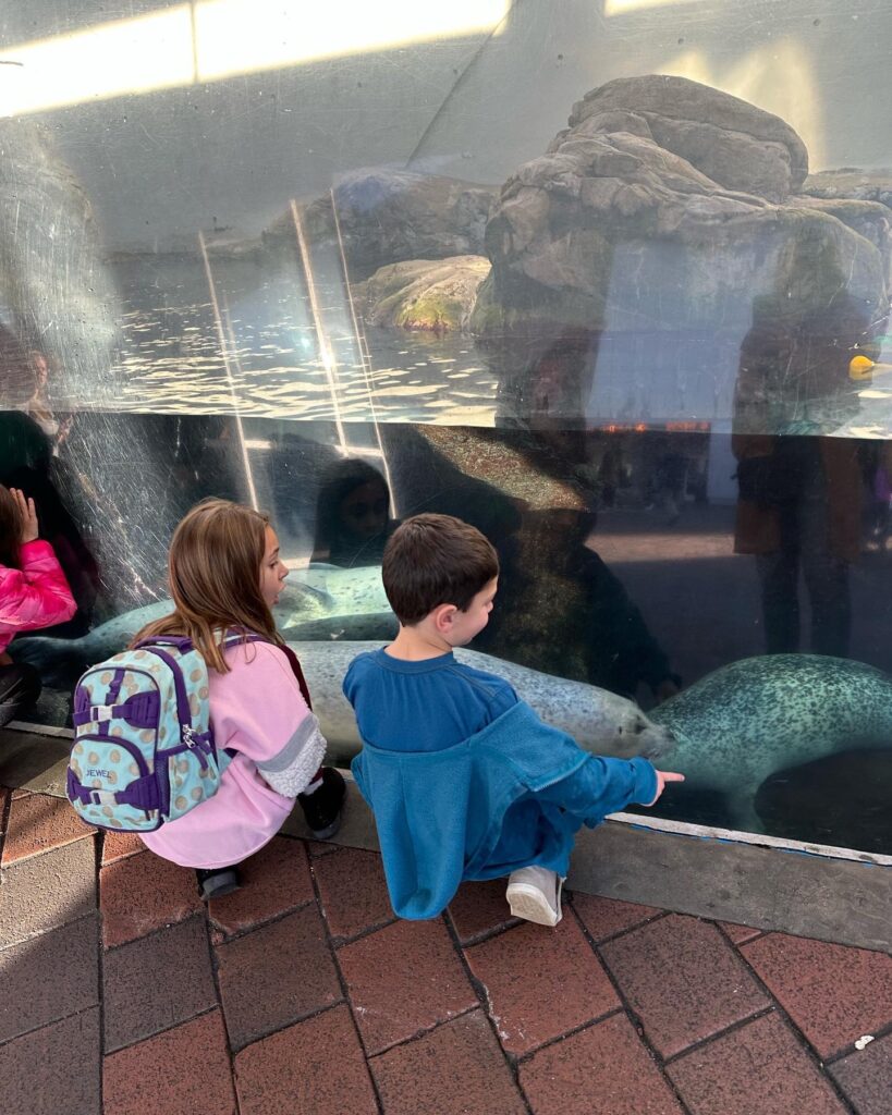 New England Aquarium with kids in Boston, Massachusetts