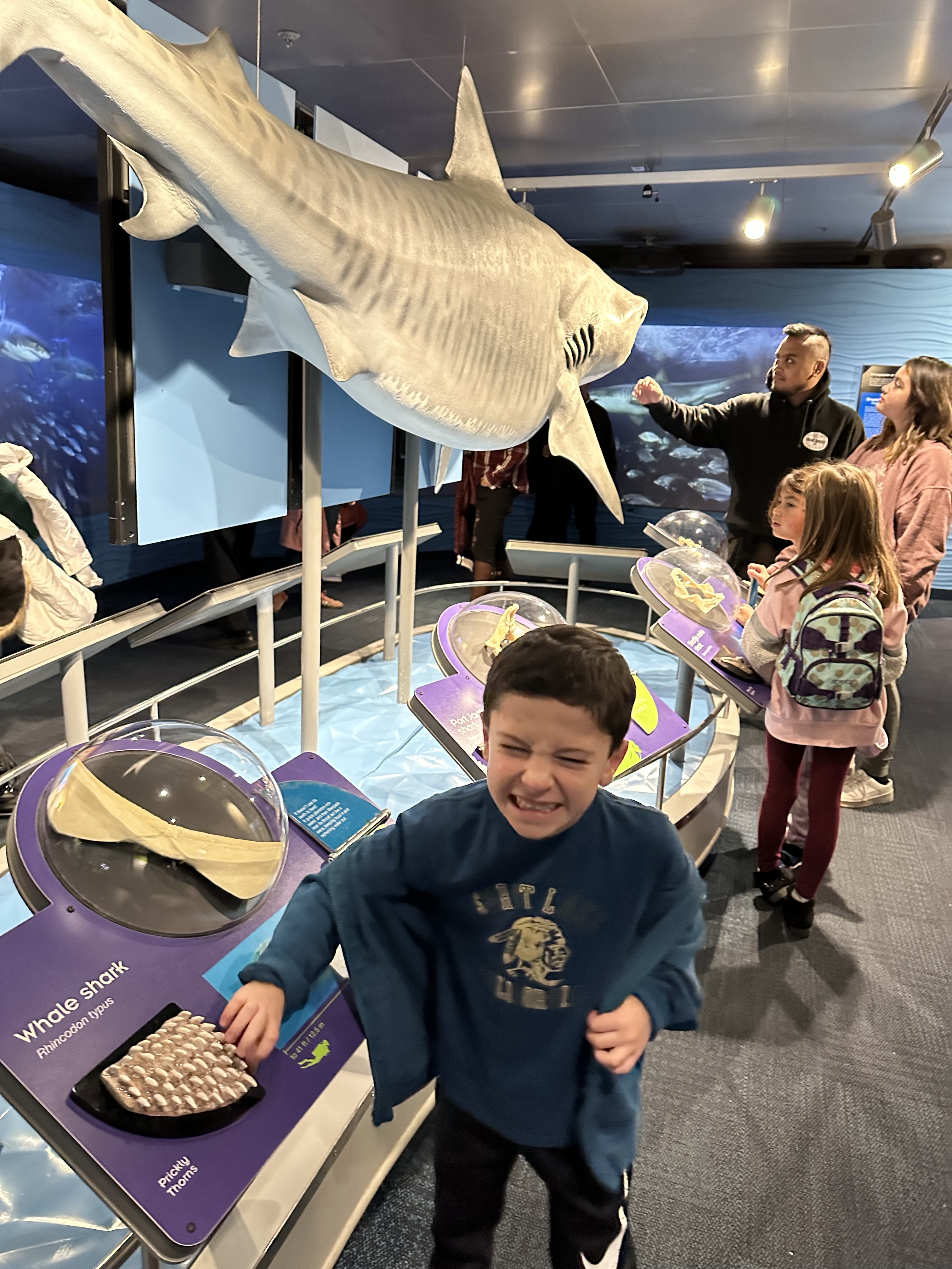 New England Aquarium with kids in Boston, Massachusetts