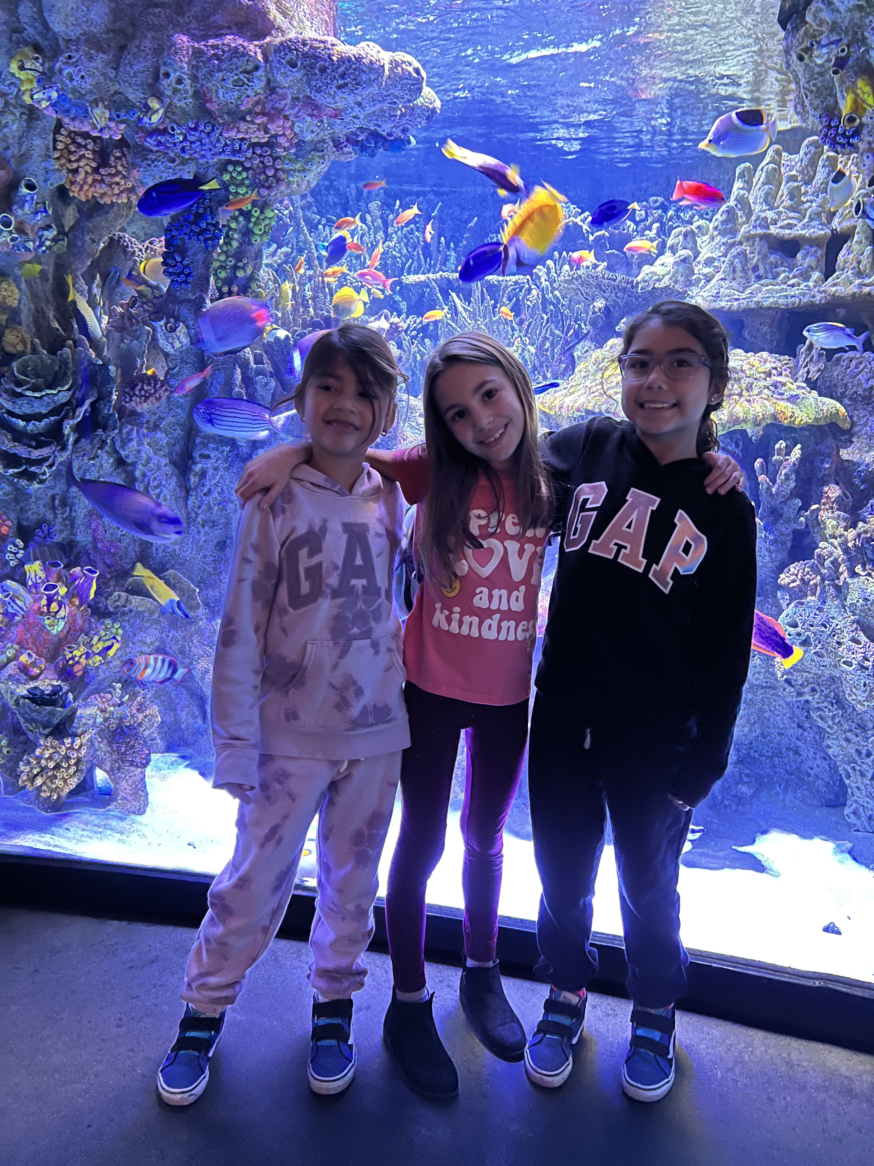 New England Aquarium in Massachusetts with kids