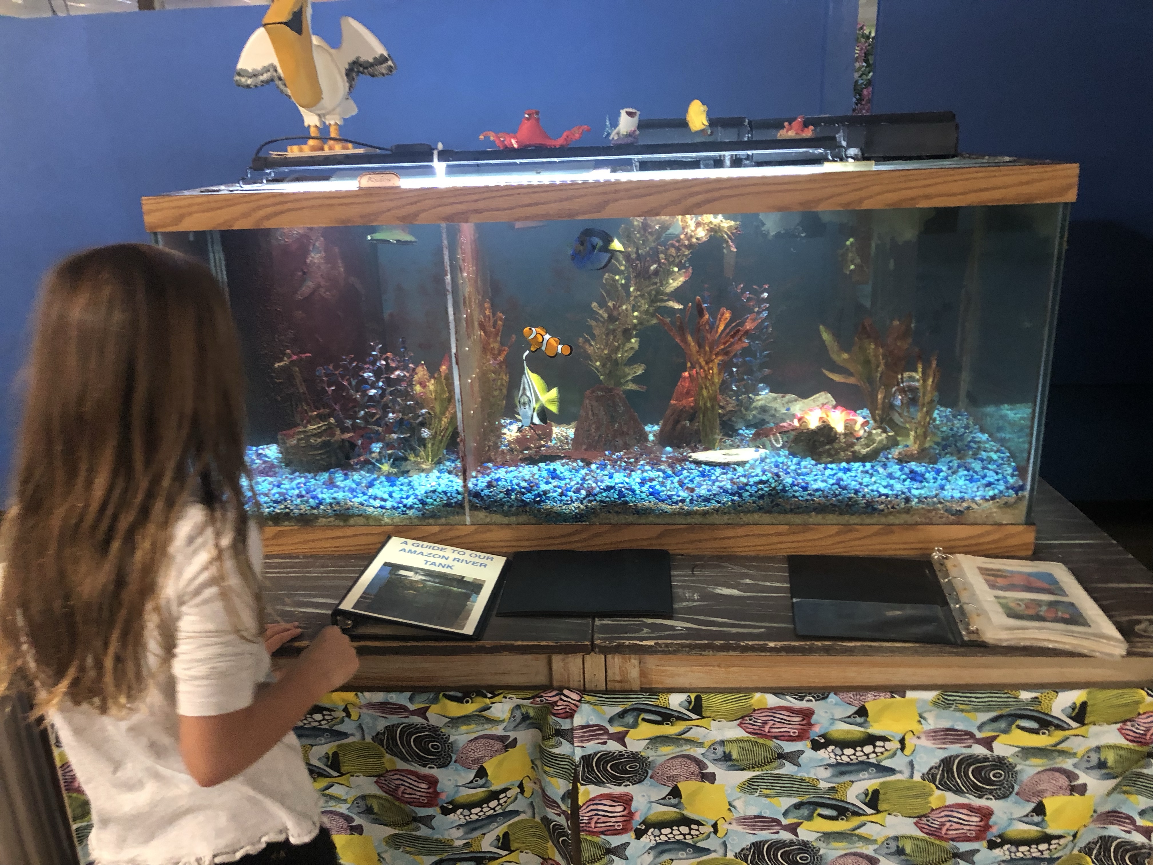 Biomes aquarium and educational center in North Kingstown, Rhode Island