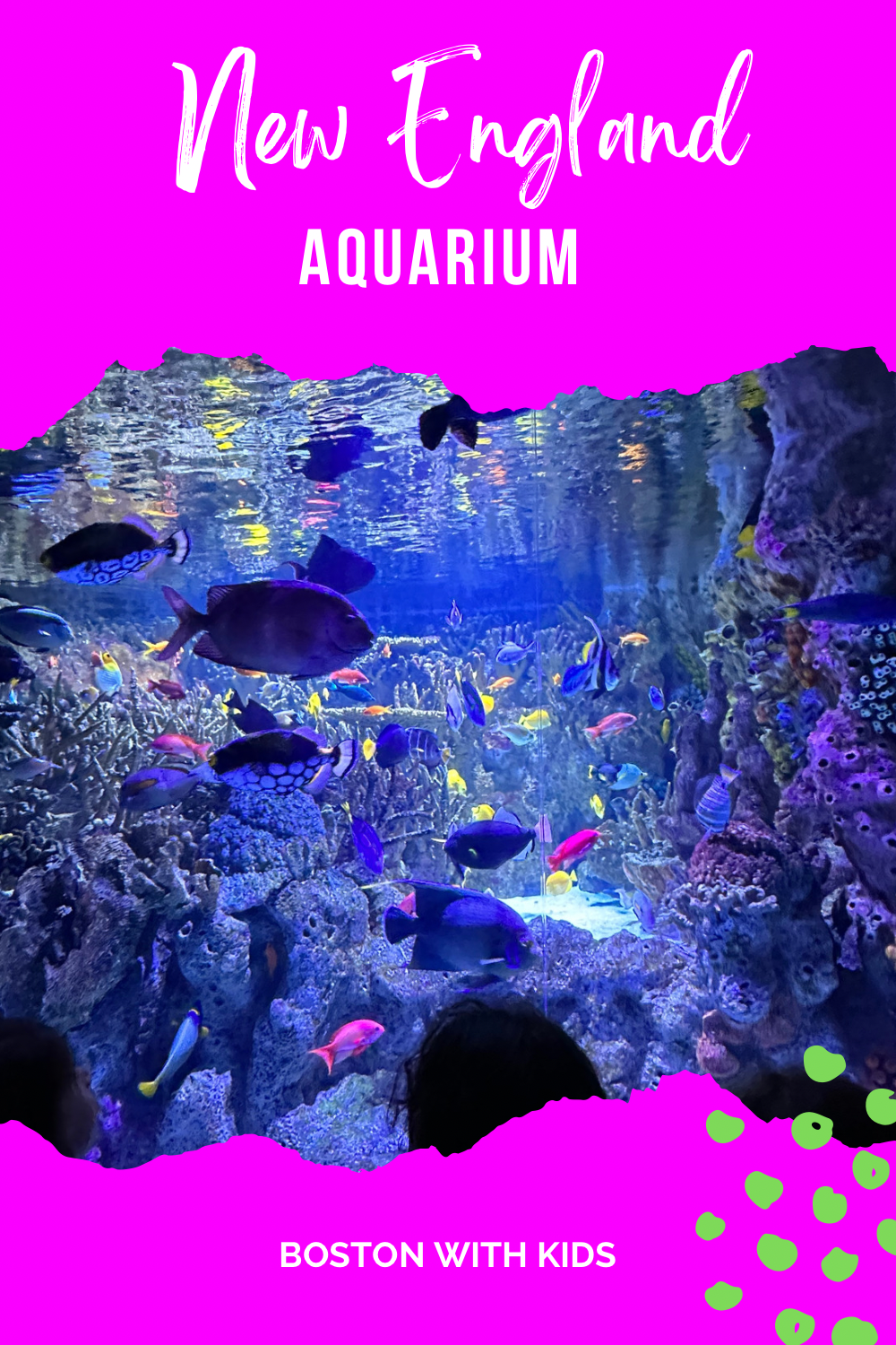 Boston Aquarium with kids