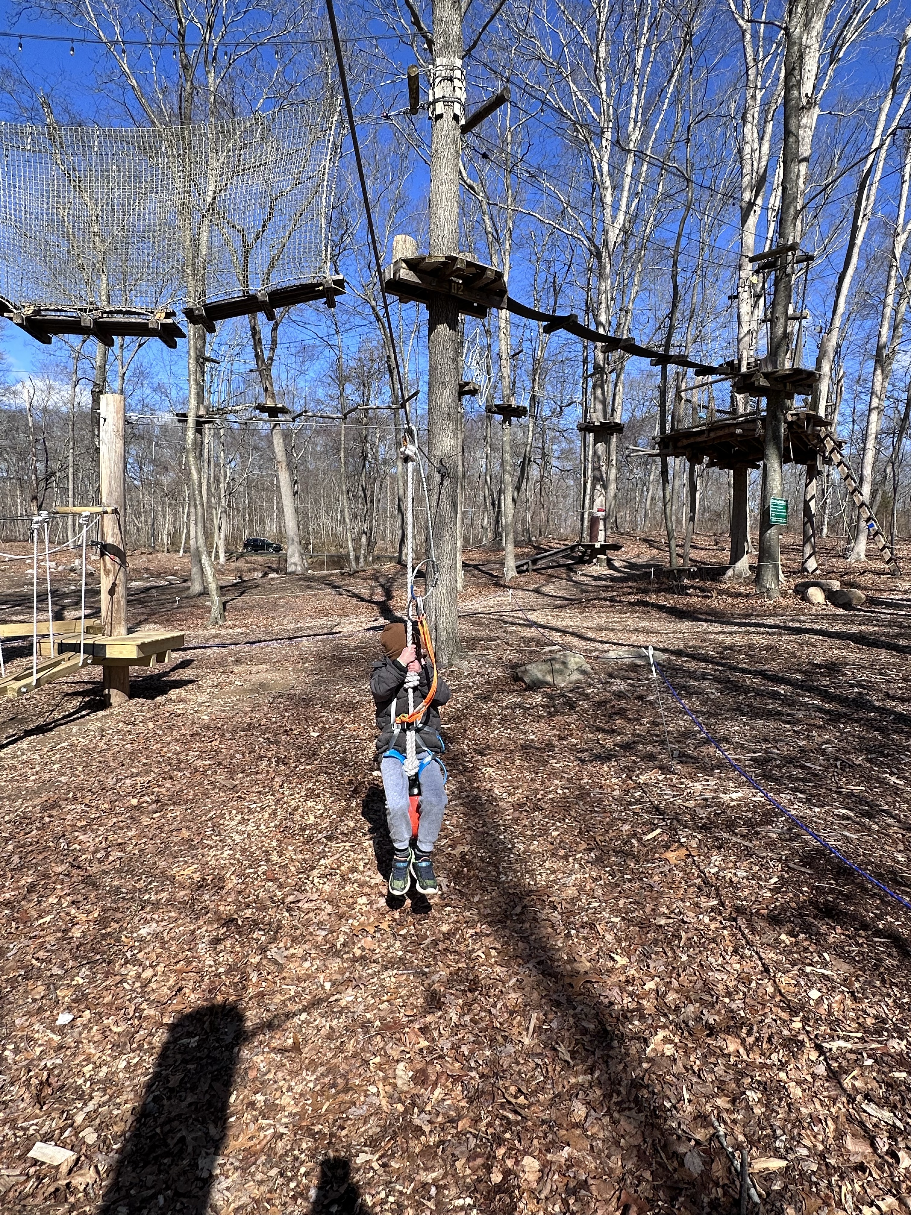 Tree Trails Adventures in Mystic CT