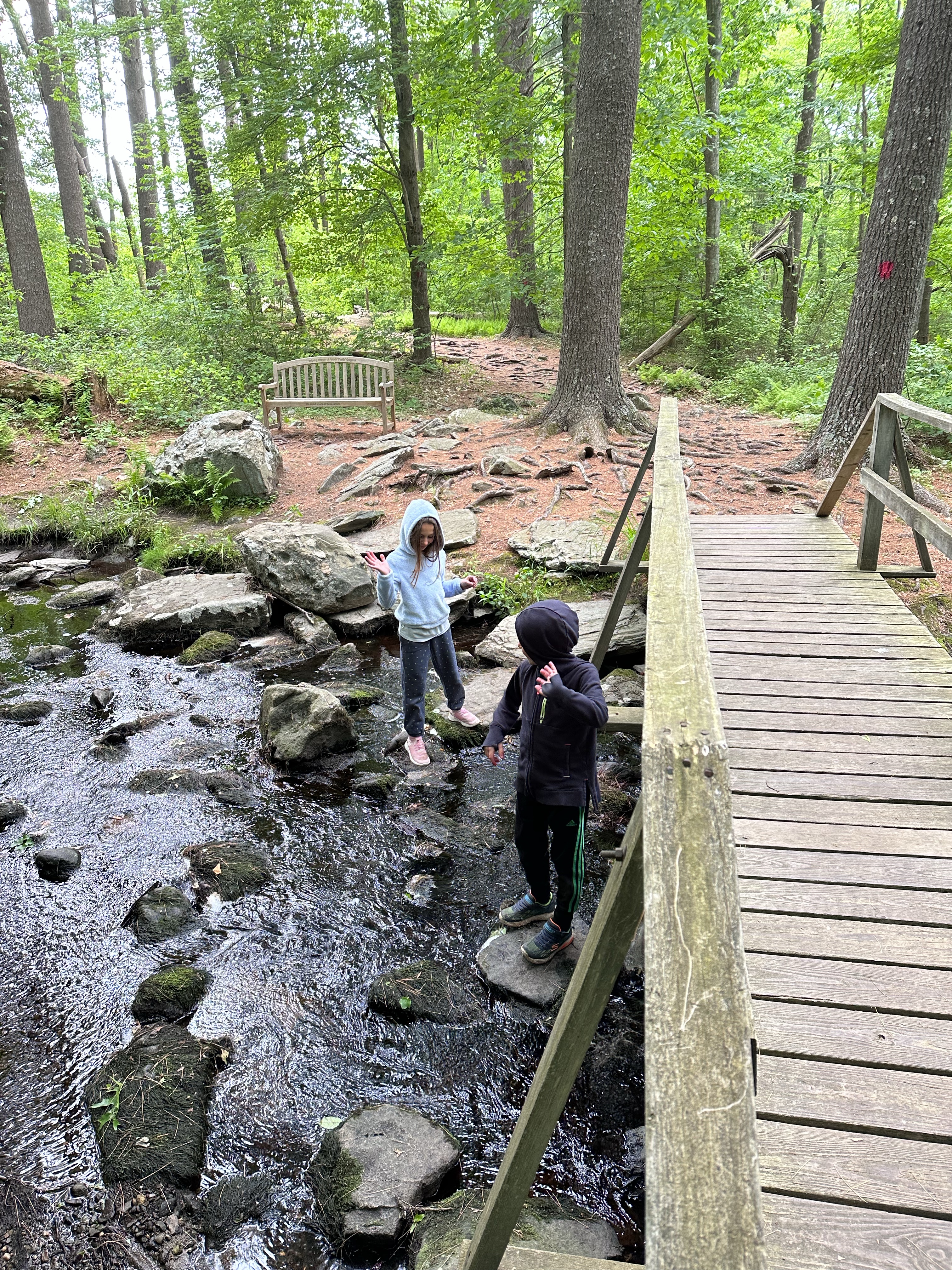 Caratunk in Seekonk, Massachusetts with kids hiking trail
