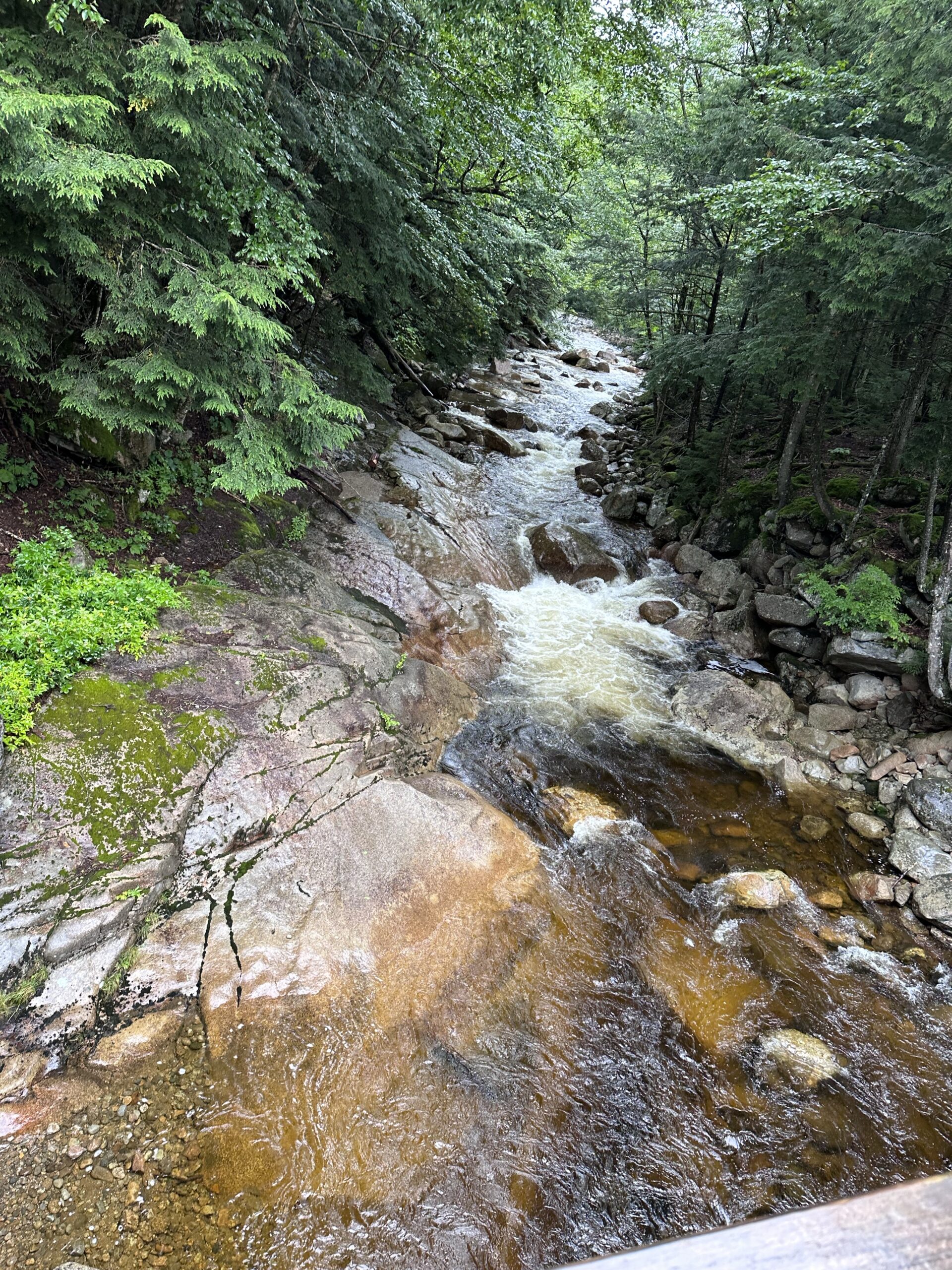 Flume Gorge in New Hampshire with kids