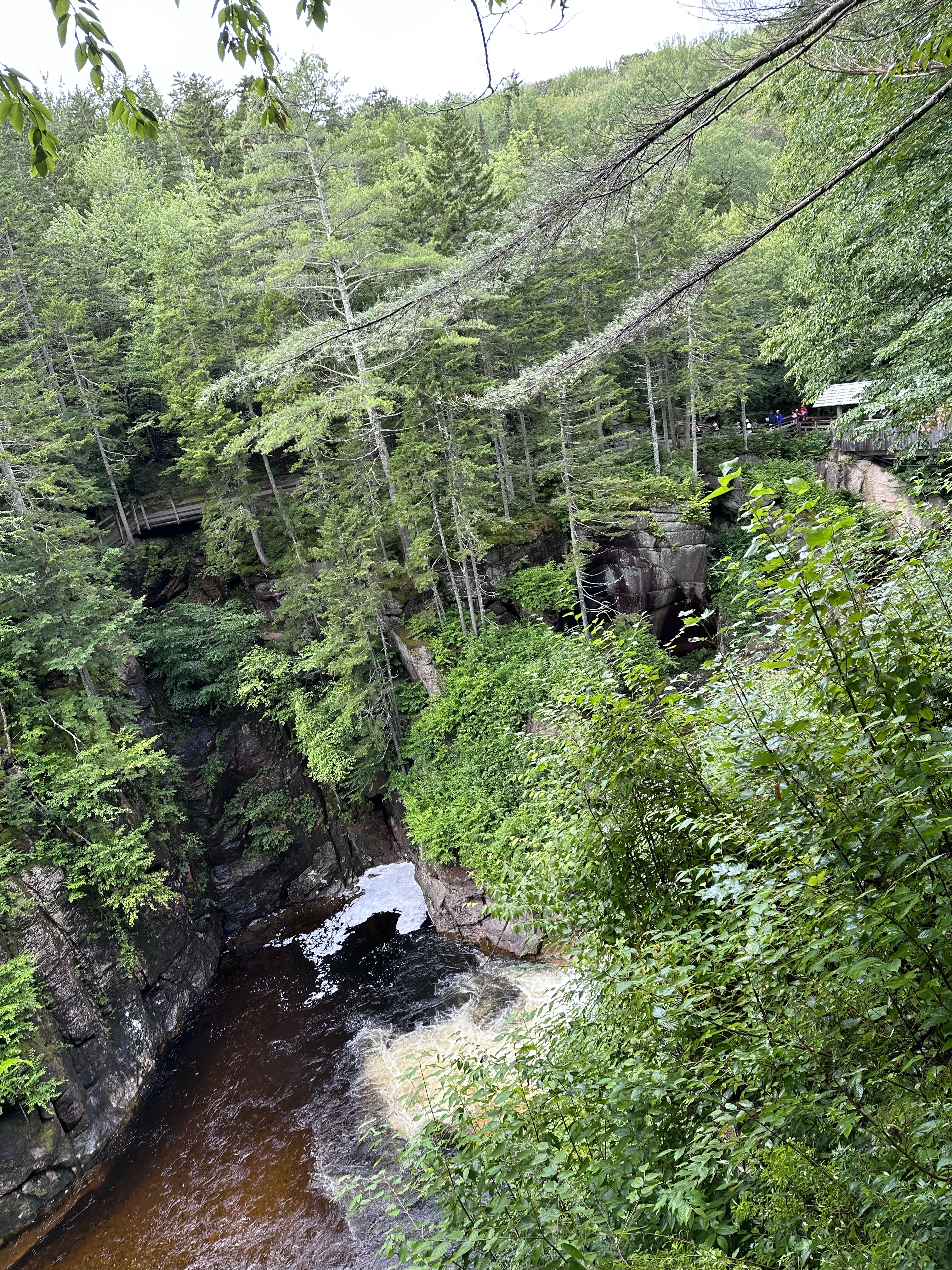 Flume Gorge in New Hampshire with kids
