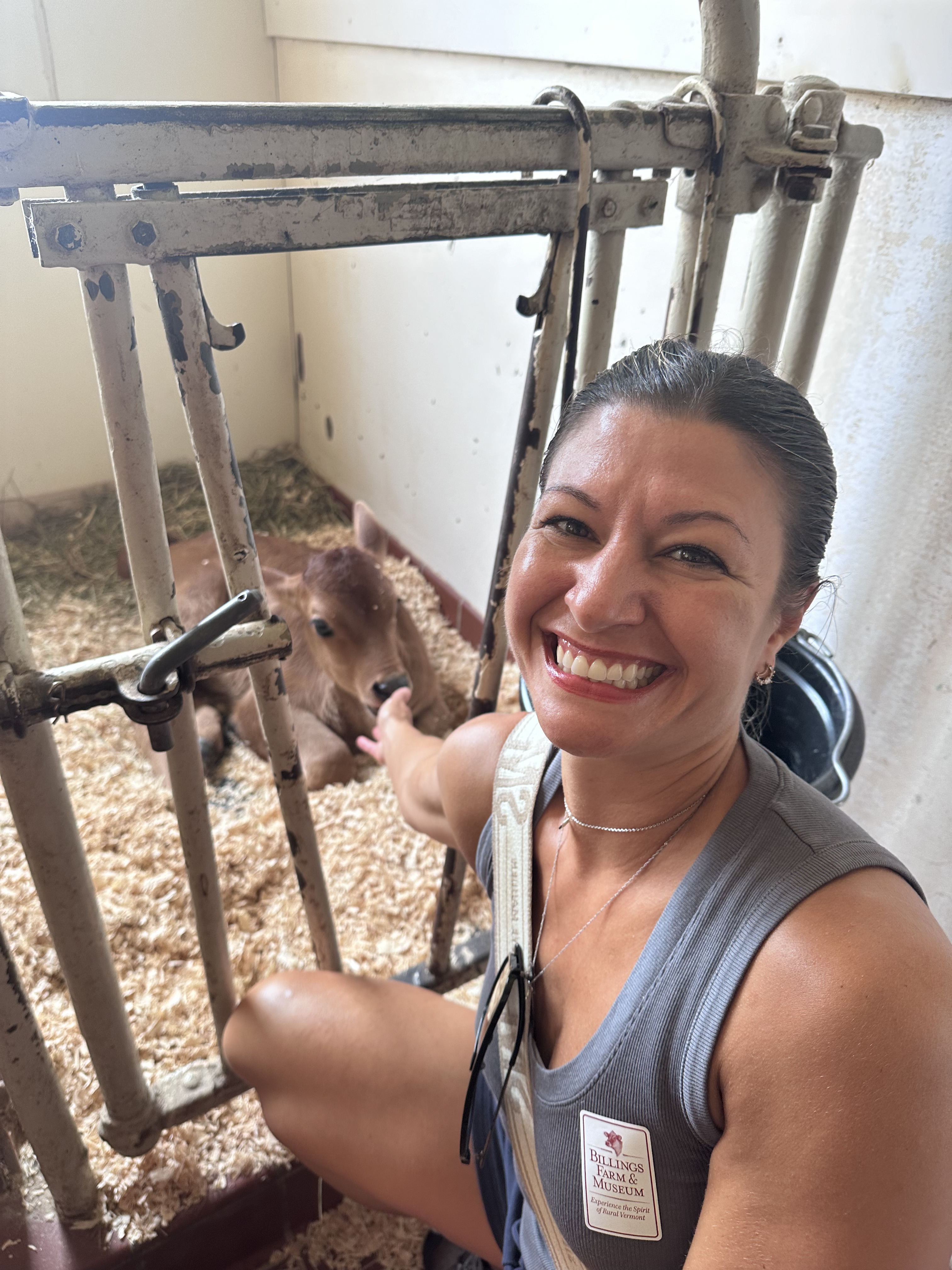 Billings Farm in Vermont with kids