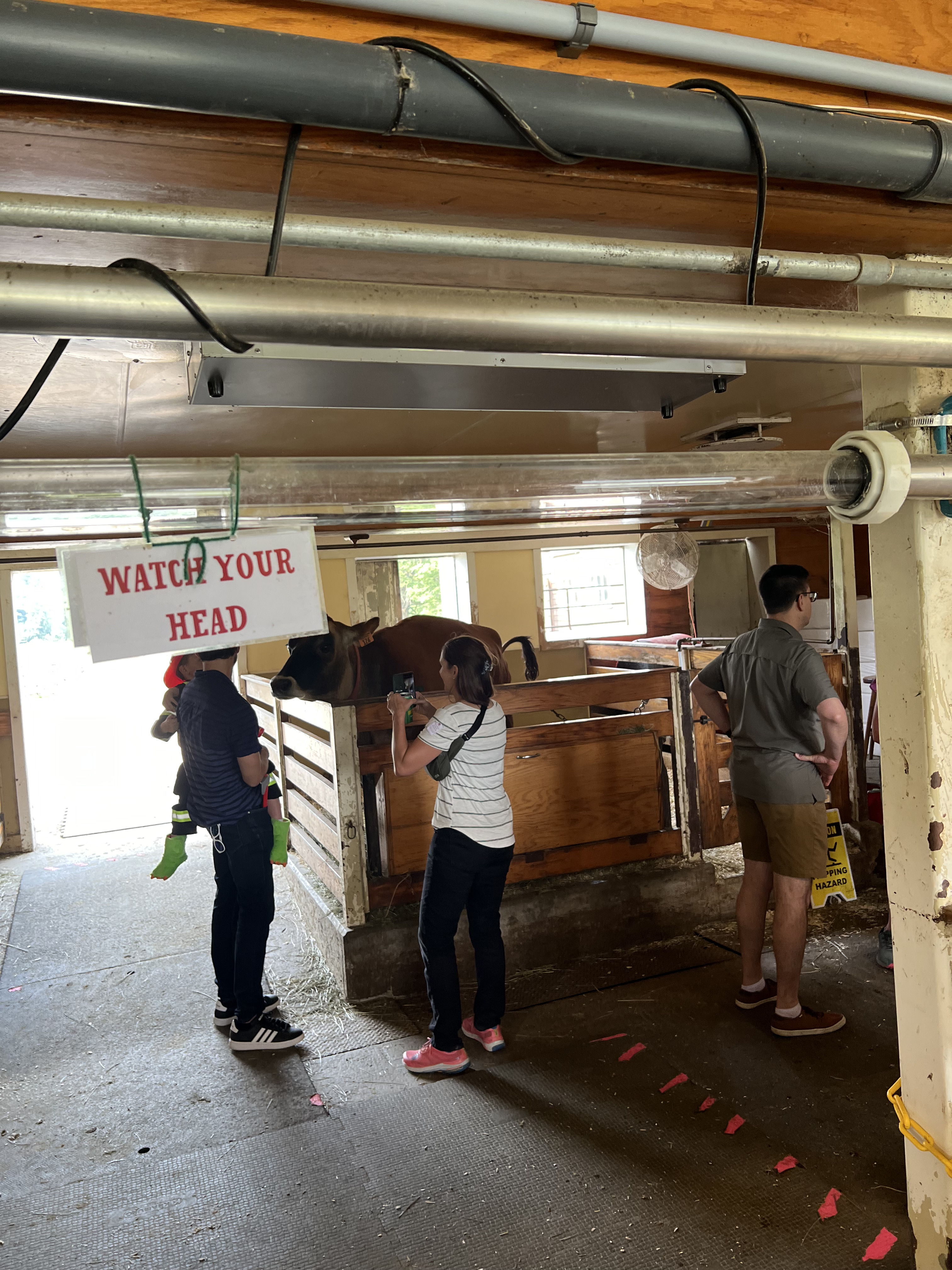 Billings Farm in Vermont with kids
