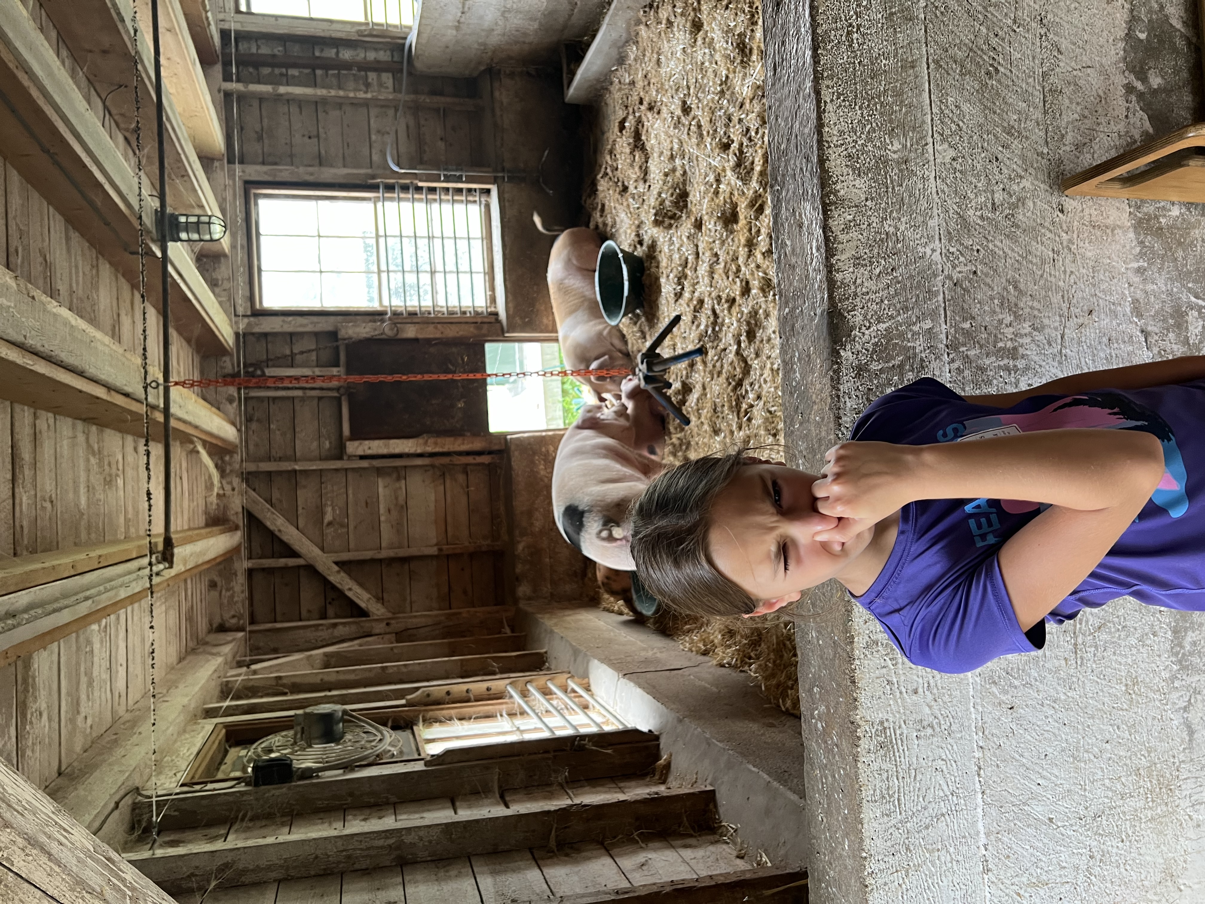 Billings Farm in Vermont with kids
